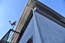 2020 0413 Tsama mae23.JPG