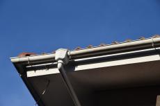 2020 0413 Tsama mae24.JPG