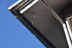 2020 0413 Tsama mae25.JPG