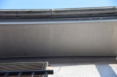 2020 0413 Tsama mae26.JPG