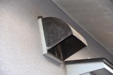 2020 0413 Tsama mae31.JPG