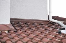 2020 0413 Tsama mae40.JPG