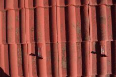 2020 0413 Ysama mae06.JPG