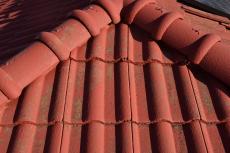 2020 0413 Ysama mae07.JPG