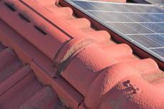 2020 0413 Ysama mae09.JPG