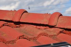 2020 0413 Ysama mae12.JPG