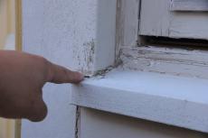 2020 0413 Ysama mae27.JPG