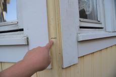 2020 0413 Ysama mae29.JPG