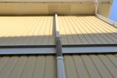 2020 0413 Ysama mae34.JPG