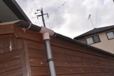 2020 0414 Msama mae008.JPG