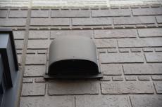 2020 0414 Msama mae028.JPG