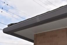 2020 0414 Msama mae033.JPG