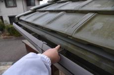 2020 0414 Msama mae034.JPG