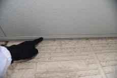 2020 0414 Msama mae041.JPG