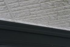 2020 0414 Msama mae045.JPG