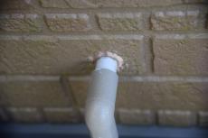 2020 0414 Msama mae066.JPG