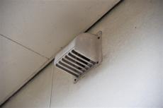 2020 0416 Tsama mae010.JPG