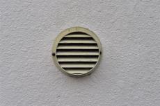 2020 0416 Tsama mae011.JPG