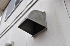 2020 0416 Tsama mae012.JPG