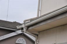 2020 0416 Tsama mae016.JPG