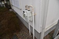 2020 0416 Tsama mae017.JPG