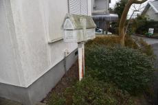 2020 0416 Tsama mae020.JPG