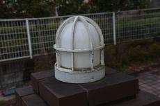 2020 0416 Tsama mae021.JPG