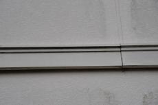 2020 0416 Tsama mae029.JPG