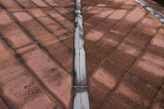 2020 0416 Tsama mae030.JPG