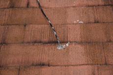 2020 0416 Tsama mae034.JPG