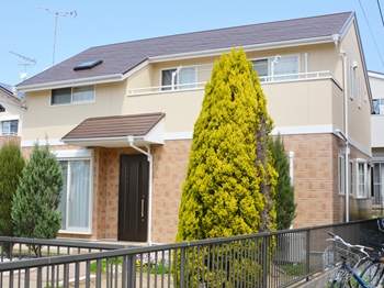 2020 0422 Jsama go001.JPG