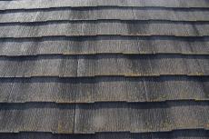 2020 0422 Jsama mae010.JPG