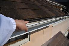 2020 0422 Jsama mae012.JPG