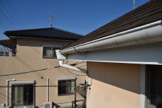 2020 0422 Jsama mae013.JPG