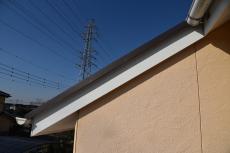 2020 0422 Jsama mae014.JPG