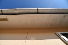 2020 0422 Jsama mae016.JPG