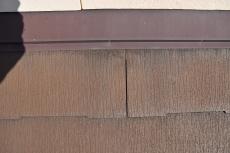 2020 0422 Jsama mae020.JPG