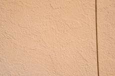 2020 0422 Jsama mae024.JPG