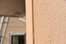 2020 0422 Jsama mae025.JPG