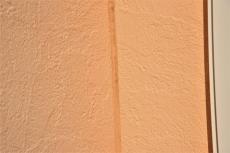 2020 0422 Jsama mae026.JPG