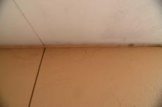 2020 0422 Jsama mae027.JPG