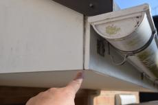 2020 0422 Jsama mae031.JPG