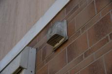 2020 0422 Jsama mae032.JPG