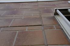 2020 0422 Jsama mae036.JPG