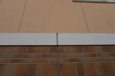 2020 0422 Jsama mae041.JPG