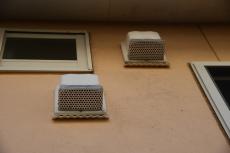 2020 0422 Jsama mae042.JPG