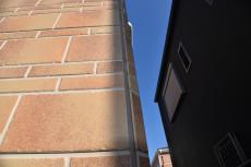 2020 0422 Jsama mae045.JPG