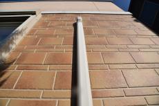 2020 0422 Jsama mae046.JPG