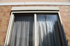 2020 0422 Jsama mae047.JPG