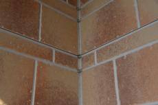 2020 0422 Jsama mae053.JPG